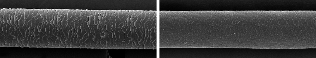모발윤기 (SEM) 예시이미지